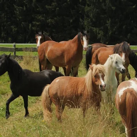 Gronewald's Mountain View Holidays