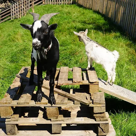 Apartment Gronewald's Mountain View Holidays